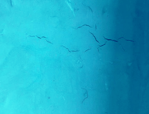 1694589311304867TZ8V.png 33.png